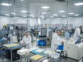Supplier Quality Management: Maintaining Standards Across the Supply Chain