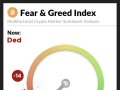 Fear! Everyone is Afraid Of Crypto!