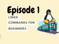Episode 1: Best Linux Commands for Beginners