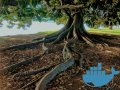 Rootless and Standard Docker: A Useful Comparison