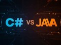 Bridging Worlds: C# for Java Developers