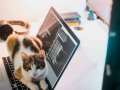 10 Tips Every New Coder Should Know to Succeed