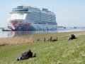Tiny Bubbles Under a Ship May Be the Secret to Reducing Fuel Consumption