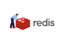 Building an Acquaintance with Redis
