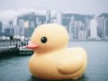 Biggest Javascript Pitfalls