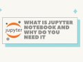 What is Jupyter Notebook and why do you need it