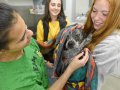 Westhill’s Agriscience students pamper furry clients