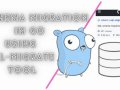 Schema migration using sql-migrate in your Go app