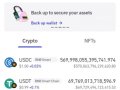 How Scammers Fake Crypto Transactions