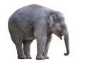Change the Size of a Linux EBS Volume with ease in AWS