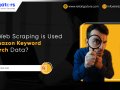 Amazon Keyword Research Data Using Web Scraping