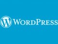 New WordPress policy allows it to shut down blogs of Sandy Hook deniers