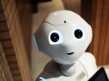 If We Care For Robots, Who Will Care For Us?
