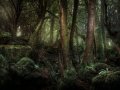 Hyperparameter Tuning and Pruning: More about Decision Trees in R with rpart