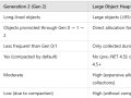 Garbage Collection and Finalizers&Dispose Pattern in.Net