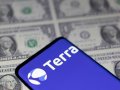 Terra developers halt new transactions on stablecoin blockchain