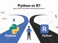 Python or R? What I Wish I Knew Before Starting Data Science