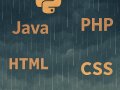How I started my journey as a programmer and how should you too!