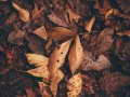 Enrich your Jupyter Notebook with these tips