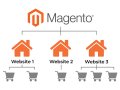 Benefits of Hiring Best Magento Multi Store Development Company