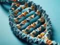 The Art and Math of Protein Folding