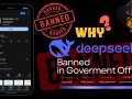 Deepseek is Banned in Government Offices — Here’s Why