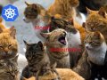 Optimizing Resource Requests and Limits in Kubernetes