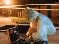 What Is Digital Forensics? Why You Need To Learn It to be a Succesful Cybersecurity Expert