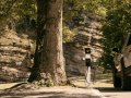 Rivian plans to install EV chargers in Tennessee’s 56 state parks