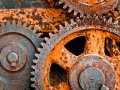 Rust’s Vec-cellent Arrays: What Happens When You Push to a Full Vector?