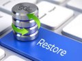 PostgreSQL da yo’qolgan ma’lumotlarni qayta tiklash