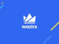 How I reverse engineered WazirX APIs to build my mini-portfolio manager!