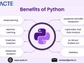 Unlocking the Power of Python Programming: A Comprehensive Exploration