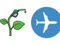 Can Flying Ever Be Guilt-Free? The Surprising Fuel Revolution Taking to the Skies