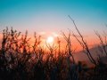 At the dawn of a beautiful journey (I hope!)