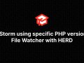 PHPStorm using specific PHP version for File Watcher with HERD