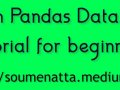 Python Pandas DataFrame Tutorial for Beginners