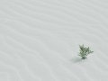 SpringBoot: Unified Response and Exception Handling