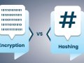 Difference Between Hashing and Encryption in Cybersecurity