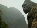 Inner API Gateway for Cloud with Kong