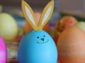 Check Out This Neat Python Easter Egg