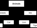 What Is Object-Oriented Programming?- easy explained