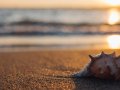 Shell-free scripts with Execa 7