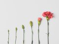 Unlocking Performance and Adaptability: Exploring Kubernetes Vertical Autoscaling