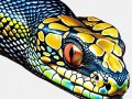 Modern Python Series : Built-In Data Structures Dictionaries