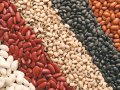 Decision Tree and Logistic Regression for Dry Bean Classification