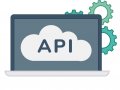 How to Pull Data from an API using Python Requests
