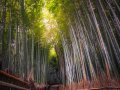 Common APIs for Android Devs (Part 6): Choosing Your API — REST vs GraphQL vs gRPC vs WebSockets