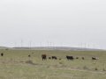Avant-garde Ag: Idaho farmers embrace technology