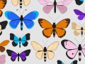 Cómo usar data augmentation y GPT-4 para crear datasets sintéticos